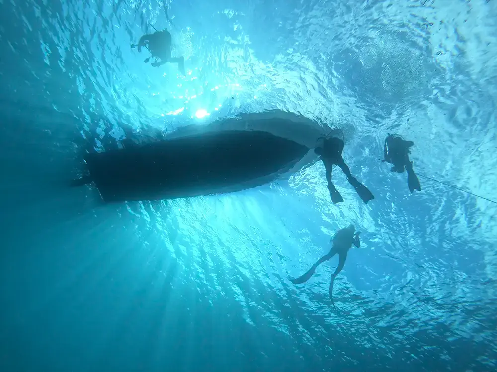 Diving
