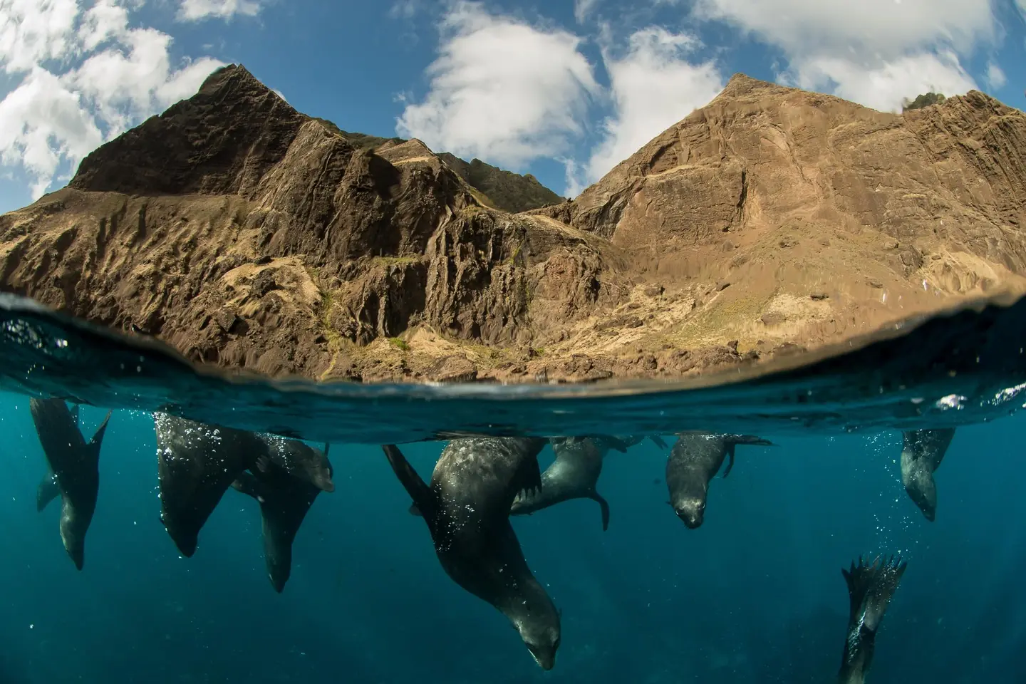 Diving experience in Robinson Crusoe
