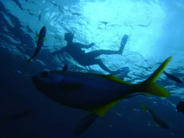 Discover our underwater adventures