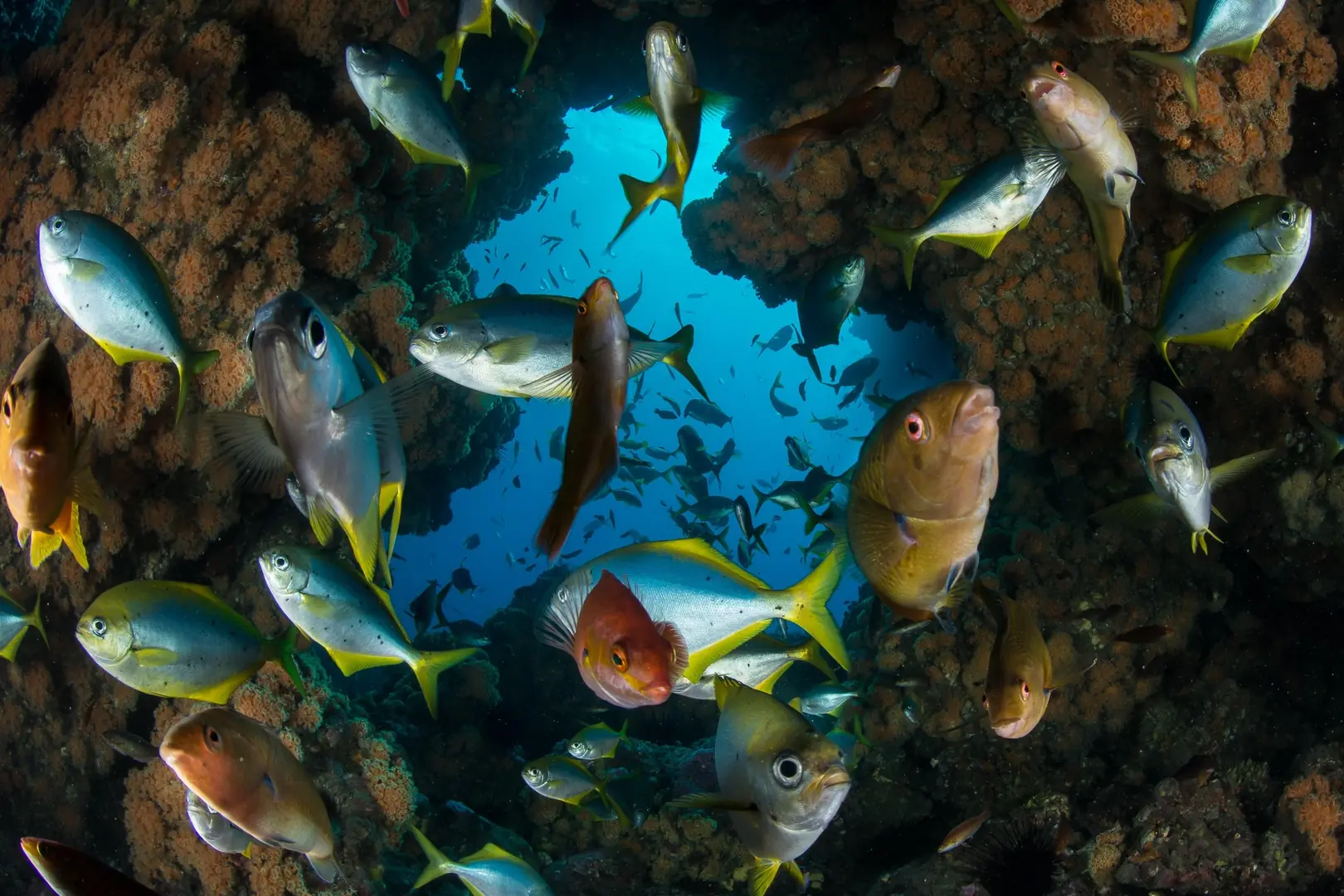 Discover our underwater adventures