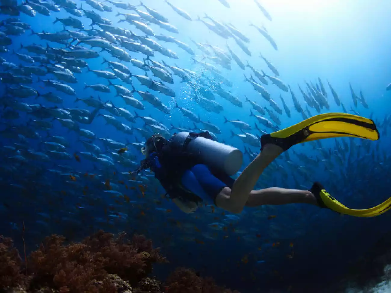 Discover our underwater adventures