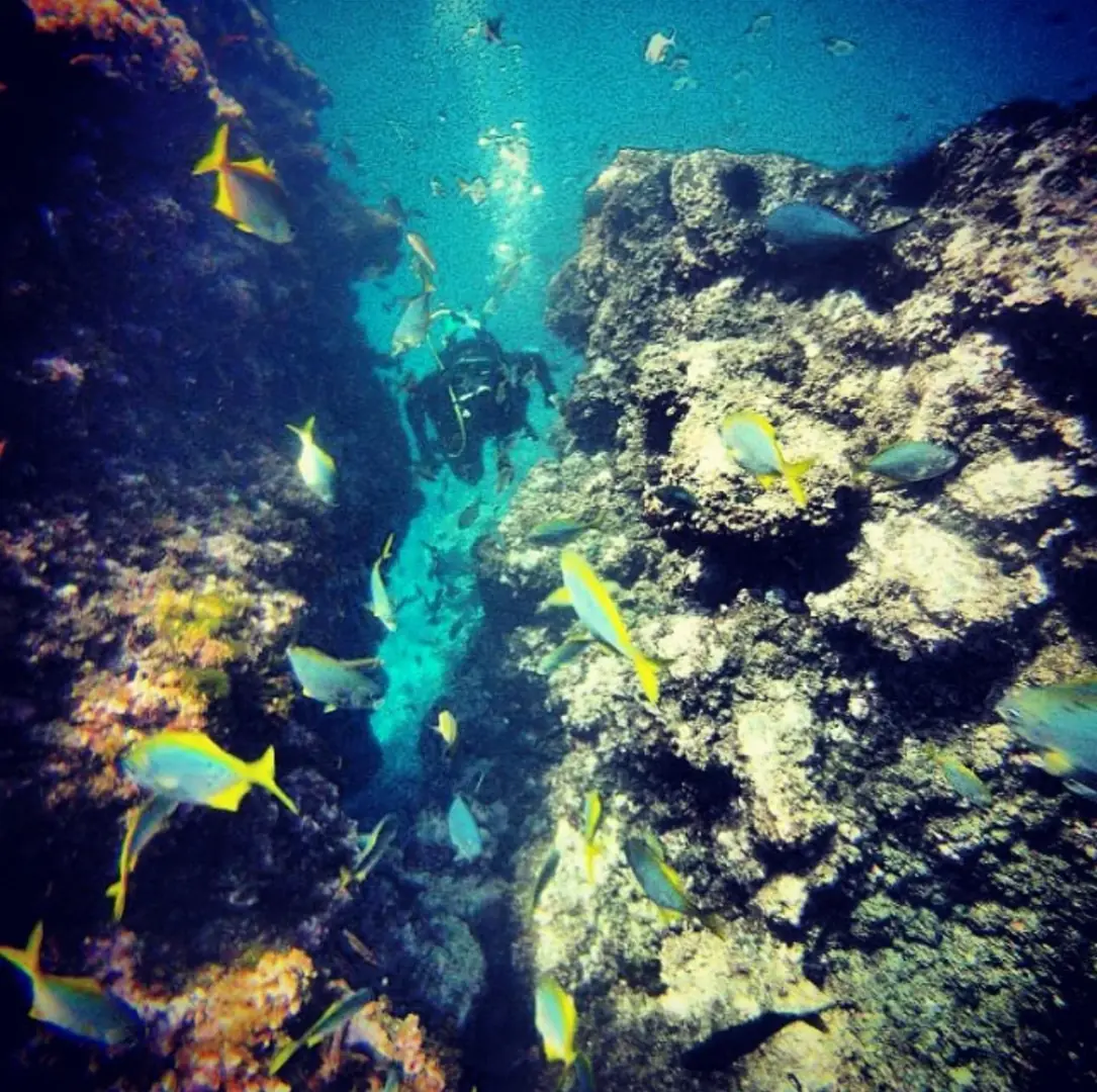 Discover our underwater adventures