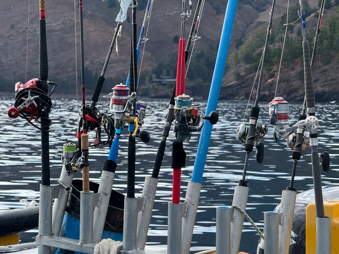 Discover our fishing experience