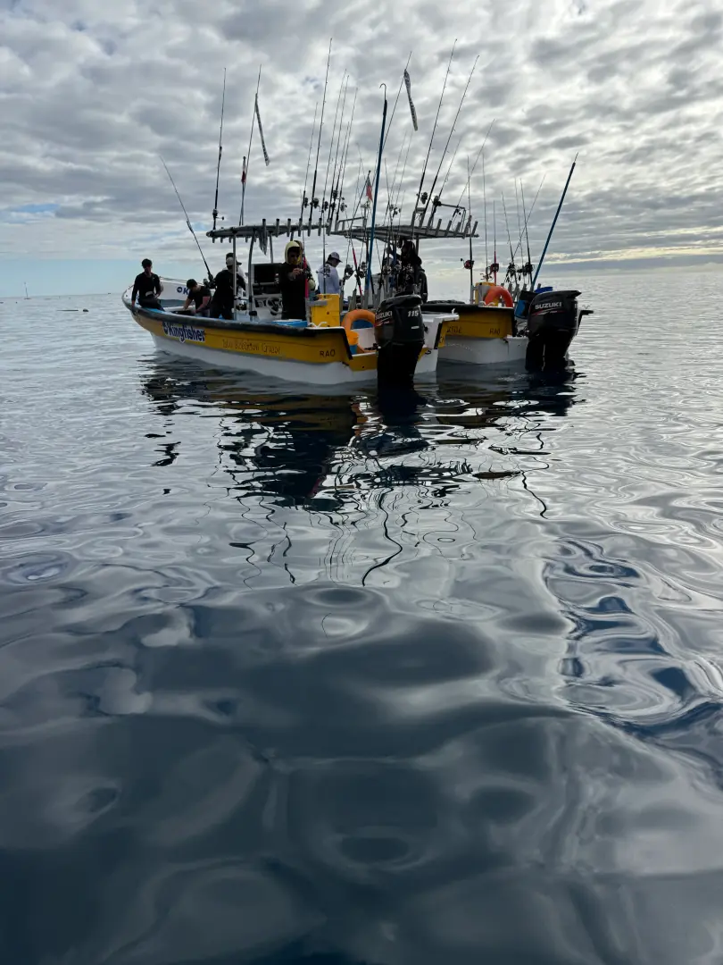 Discover our fishing experience