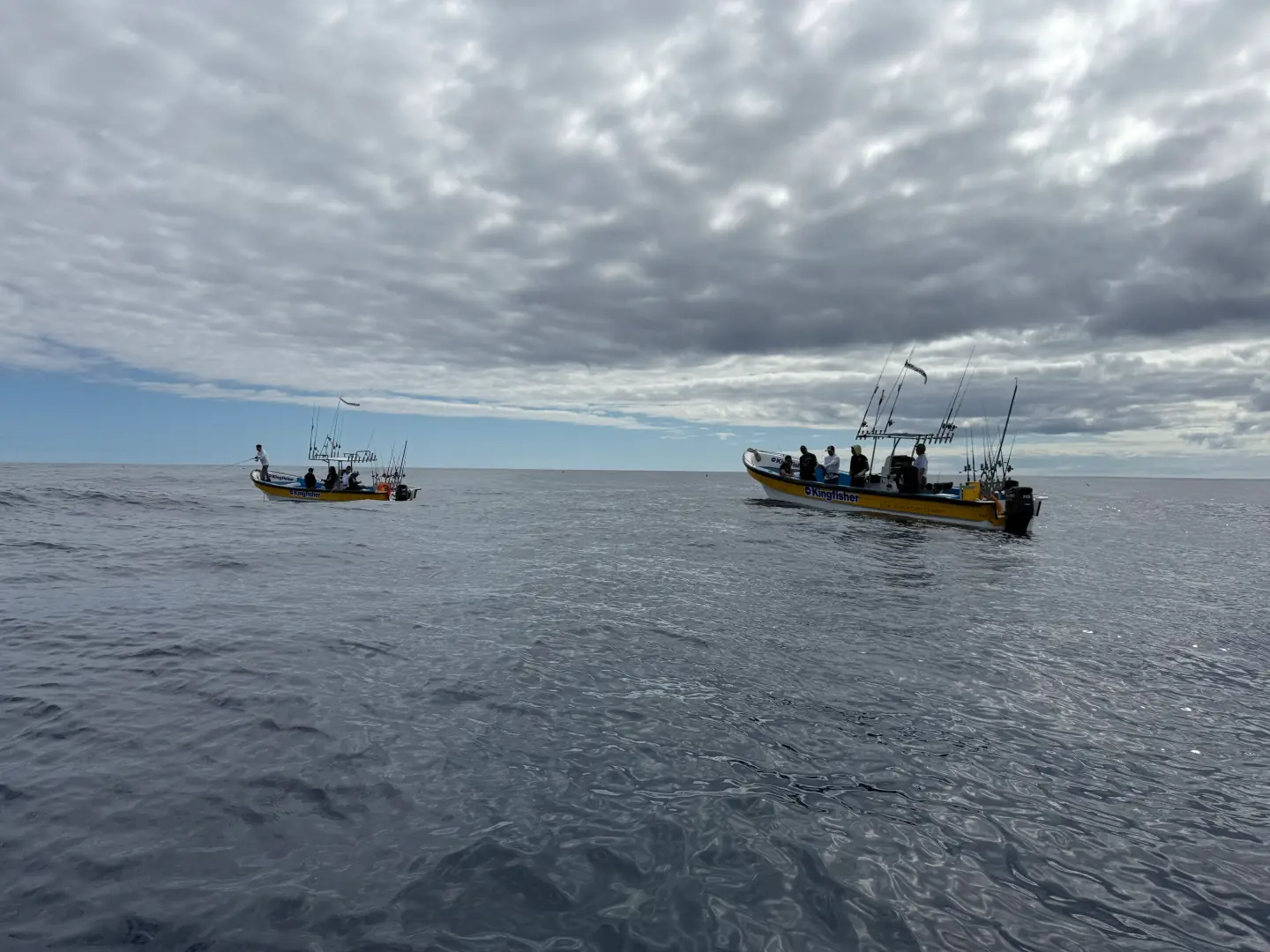 Discover our fishing experience